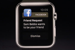 Illustration for article titled Apple Watch: Everything You Need to Know